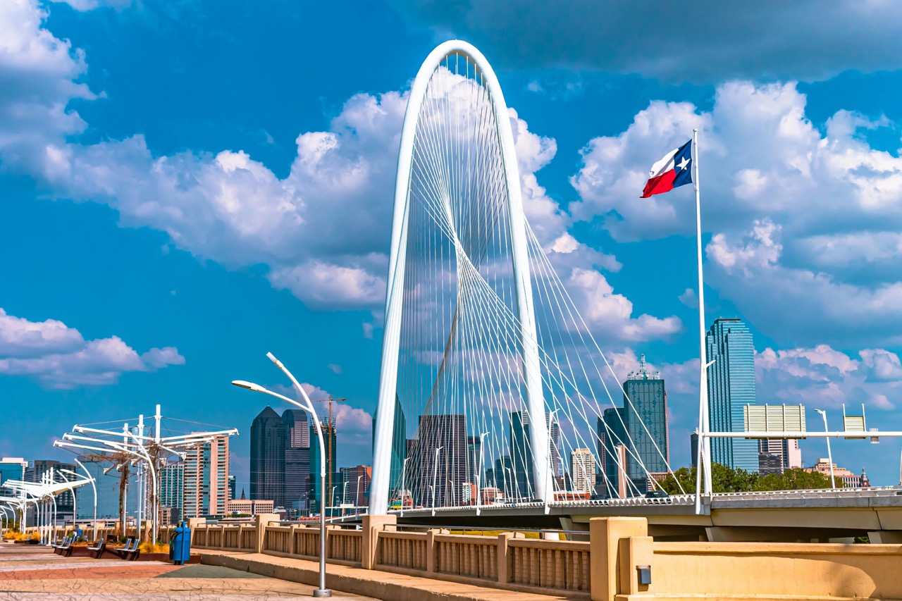 Texas flag