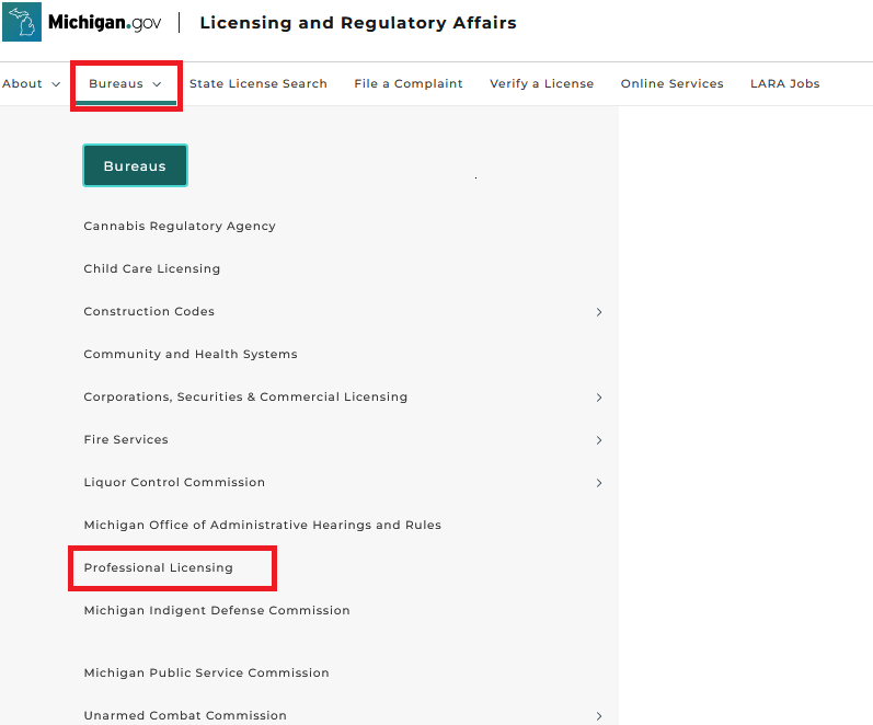 The ‘Professional Licensing’ on the Michigan Licensing and Regulatory Affairs website.